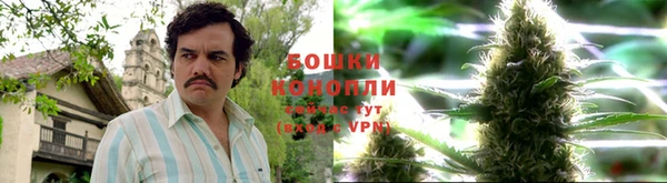 ECSTASY Кулебаки