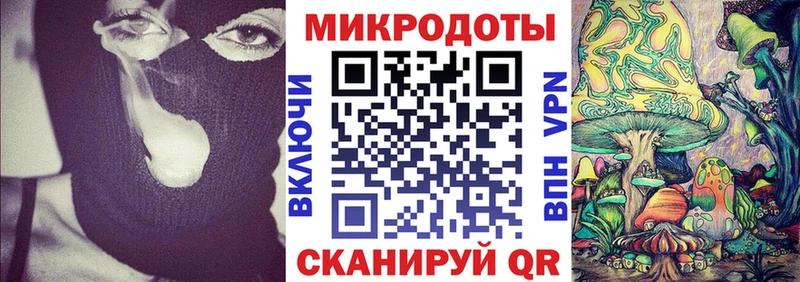 Псилоцибиновые грибы Psilocybe  Купить закладки  Мытищи 